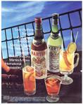 Martini 1969 1-6.jpg